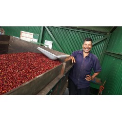 Presta Café - Café du Costa Rica, la Abej