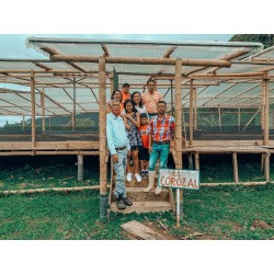 Presta Café - Café de Colombie, Huil